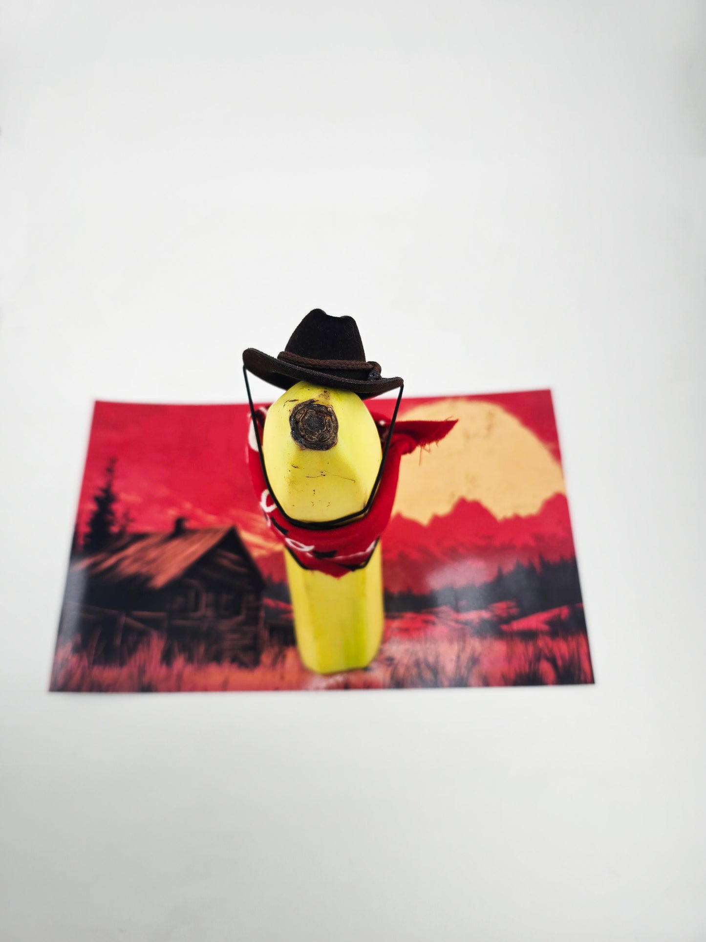 Cowboy - Wild Wild Peel